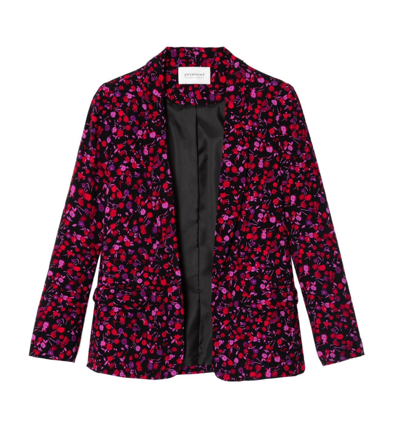 Blazer fantasia