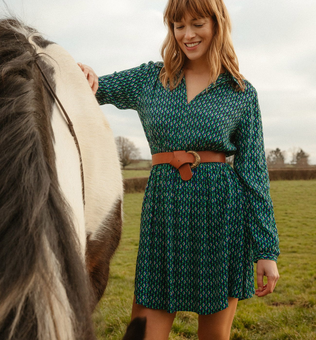 Shirt collar dress