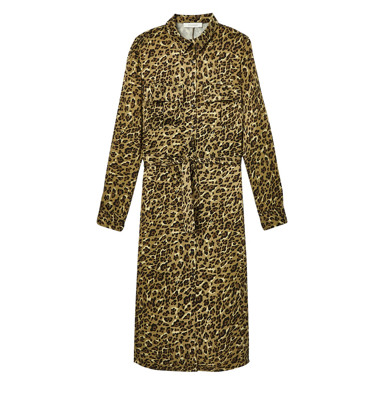 Long sheen shirtdress