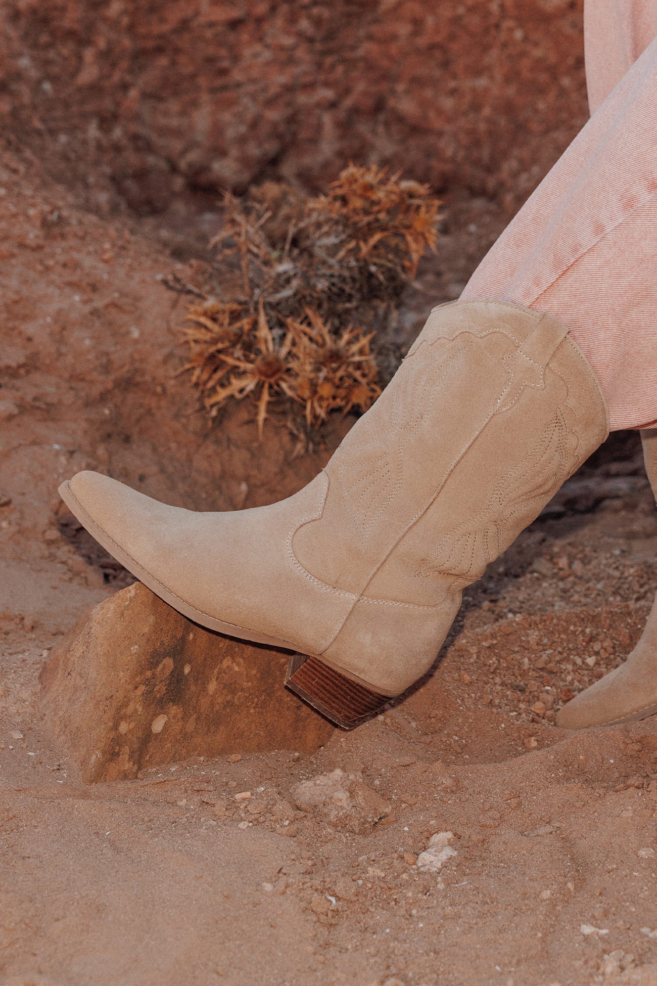 Santiags en cuir suédé Femme