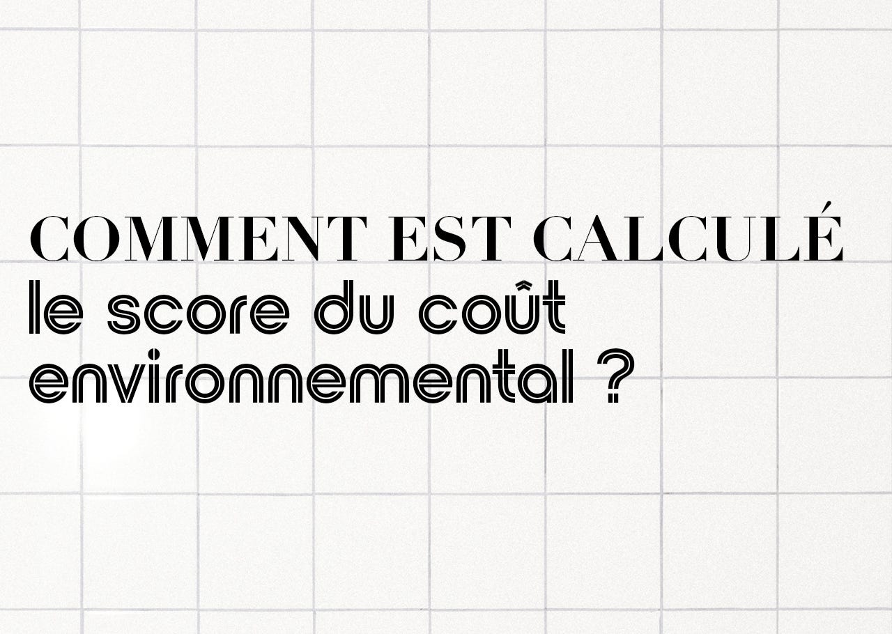 Comment est calculé le score du coût environnemental ?